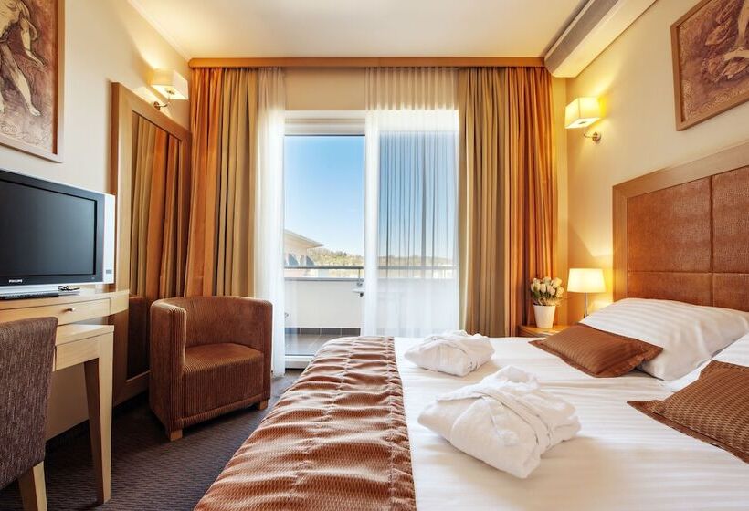اتاق اکونومی, Grand Hotel Primus Terme Ptuj Sava Hotels & Resorts