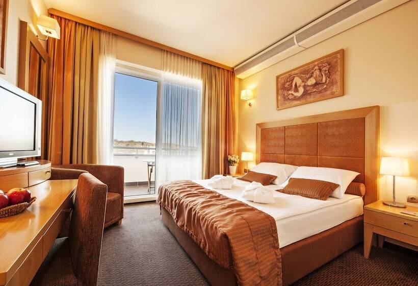 اتاق اکونومی, Grand Hotel Primus Terme Ptuj Sava Hotels & Resorts