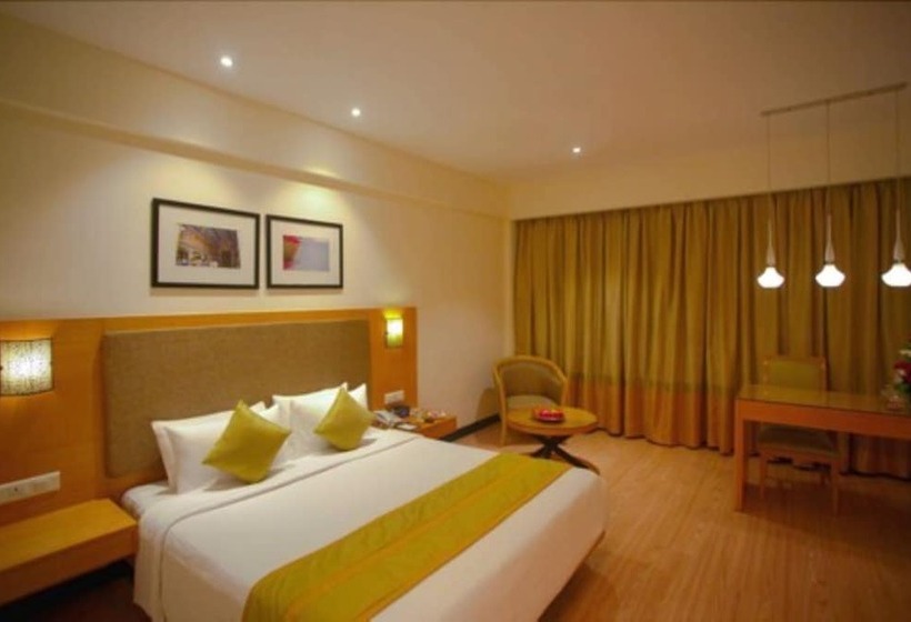 商务房间, Greenpark Chennai