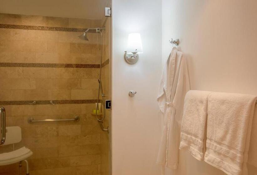 سوئیت اجرایی با تخت کینگ, Le Méridien Mexico City Reforma