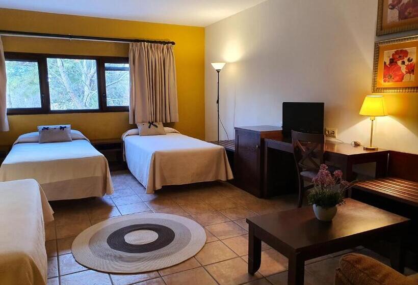 شقة غرفة واحدة, Masia El Molinete