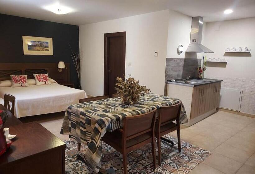 شقة غرفة واحدة مزودة بتراس, Masia El Molinete