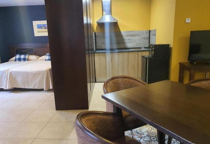 شقة غرفة واحدة مزودة بتراس, Masia El Molinete