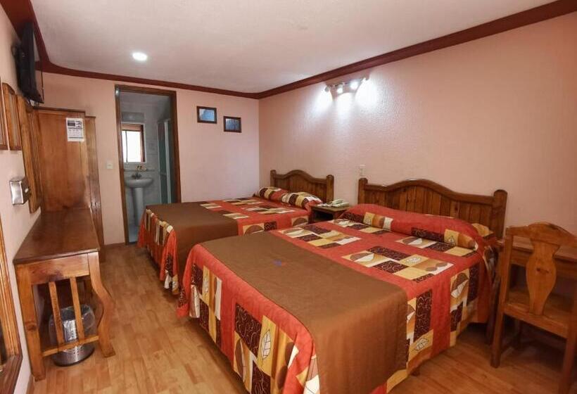 اتاق استاندارد با 2 تخت دوبل, San Angel