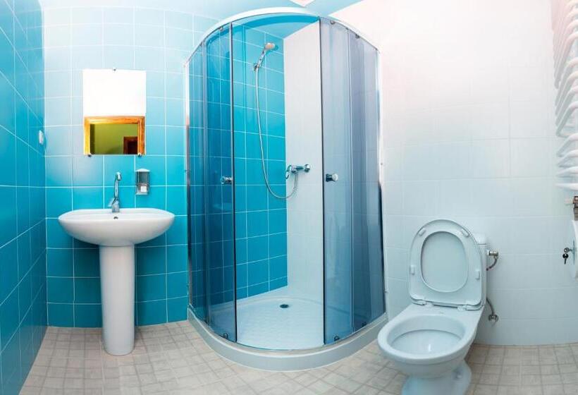 חדר סטנדרט, Dream Hostel Carpathians Rakhiv