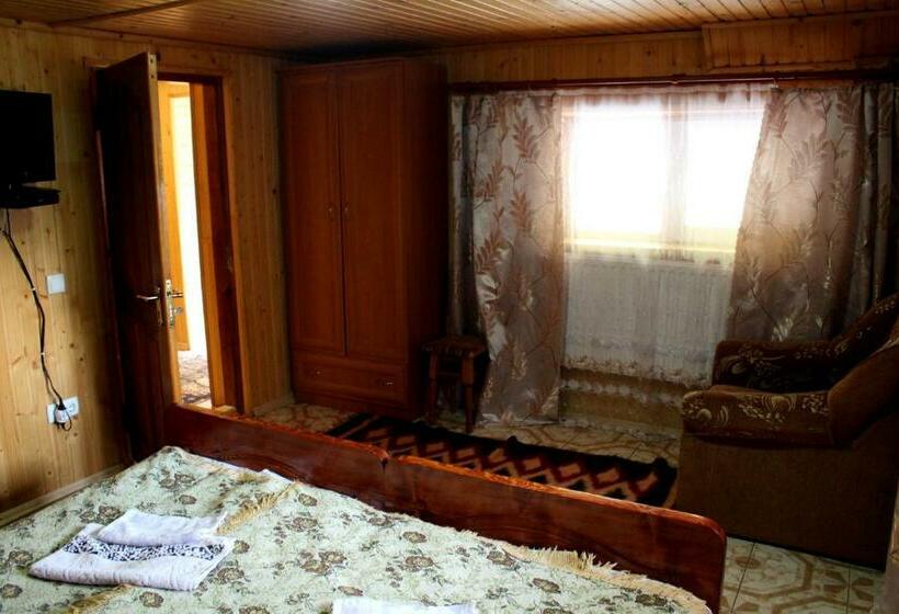 Номер Стандарт Совместная Ванная, верховинський водограй