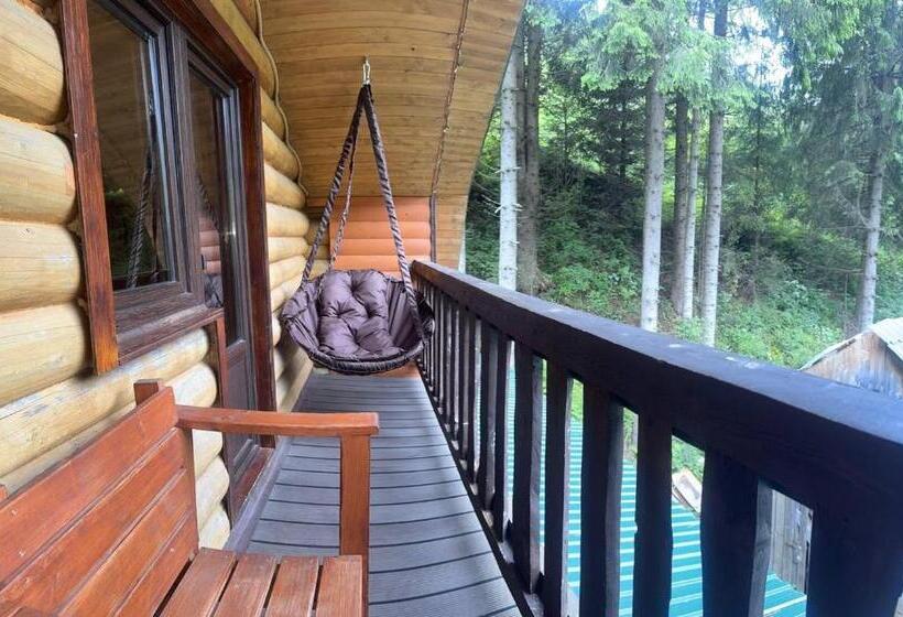 Номер Стандарт Вид на Горы, верховинський водограй