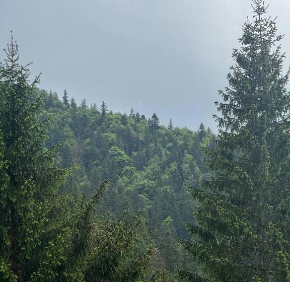 Номер Deluxe, верховинський водограй