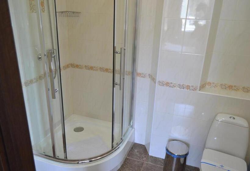 スタンダードルーム, три сімки