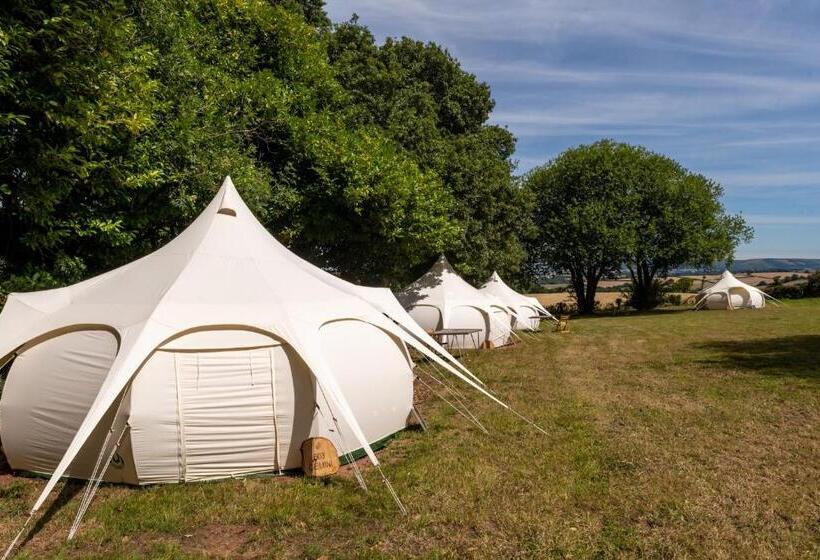 Standard Tent, Croydon Hall