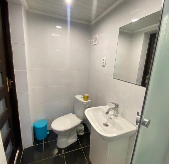 خانه 1 خوابه, Prykarpatska Villa