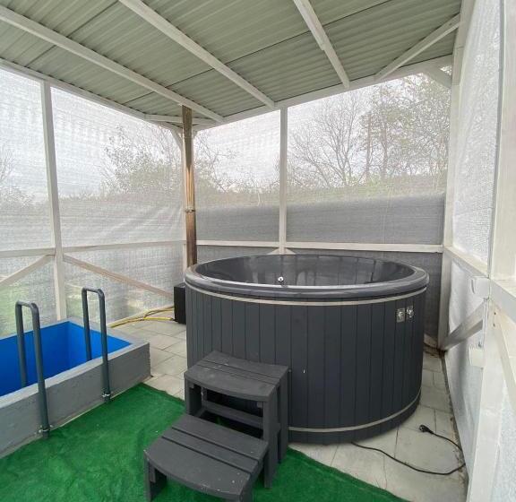 خانه 1 خوابه, Prykarpatska Villa