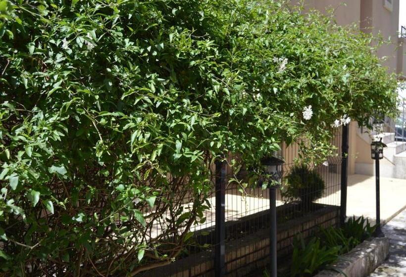 استودیوی استاندارد, Vila Maslina Guesthouse