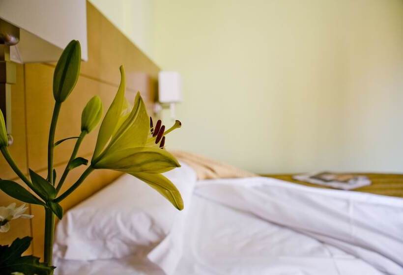 اتاق استاندارد, 4c Puerta Europa