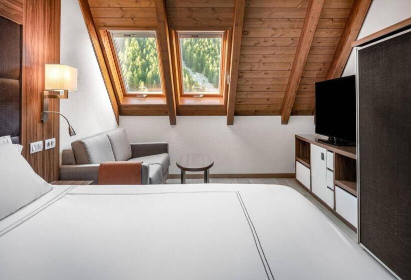 غرفة ديلوكس ذات إطلالة, Ac Baqueira Ski Resort, Autograph Collection