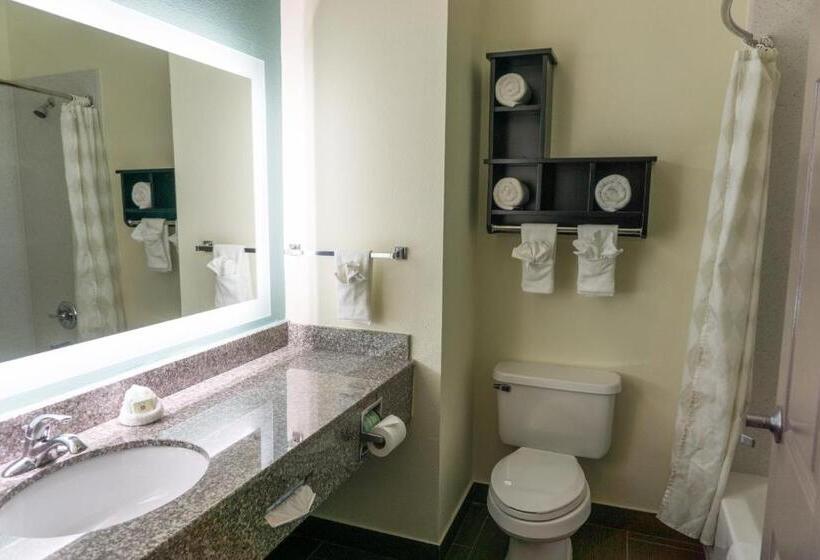 חדר סטנדרט, Best Western Mayport Inn & Suites