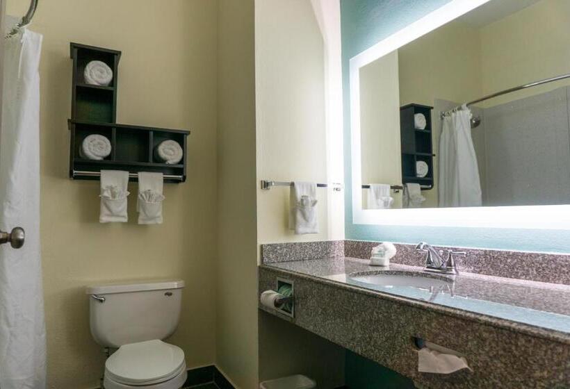 غرفة قياسية, Best Western Mayport Inn & Suites