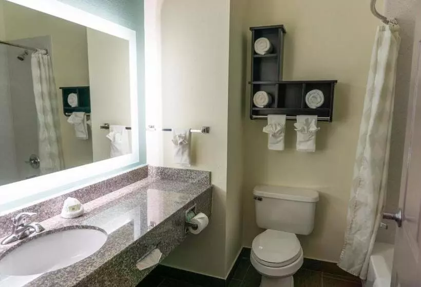 キングサイズベッドのスタンダードルーム, Best Western Mayport Inn & Suites