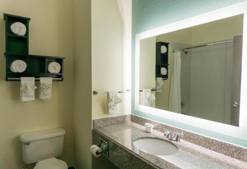 غرفة قياسية سرير كينج, Best Western Mayport Inn & Suites