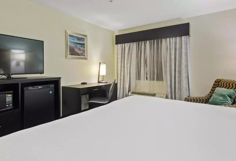 身障者適用キングサイズベッドルーム, Best Western Mayport Inn & Suites
