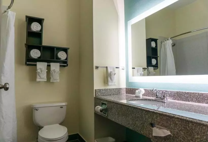 身障者適用キングサイズベッドルーム, Best Western Mayport Inn & Suites