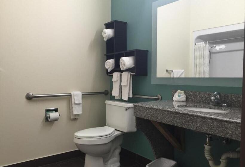 חדר סטנדרט, מיטת קינג, מותאם לאדם עם מוגבלויות, Best Western Mayport Inn & Suites