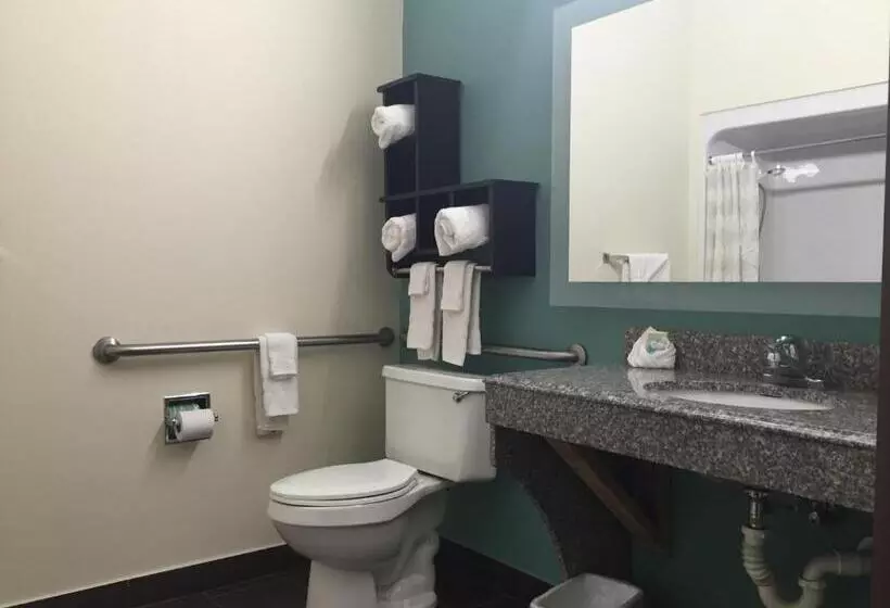 身障者適用キングサイズベッドルーム, Best Western Mayport Inn & Suites