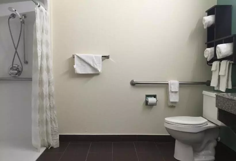 身障者適用キングサイズベッドルーム, Best Western Mayport Inn & Suites