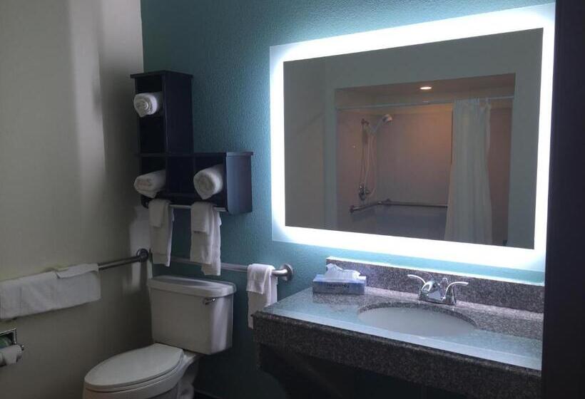 חדר סטנדרט, מיטת קינג, מותאם לאדם עם מוגבלויות, Best Western Mayport Inn & Suites