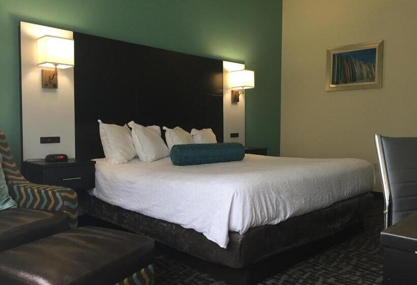 غرفة قياسية سرير كينج لذوى الإحتياجات الخاصة, Best Western Mayport Inn & Suites