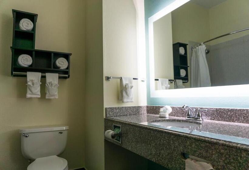 מיטת קינג בסוויטה, Best Western Mayport Inn & Suites