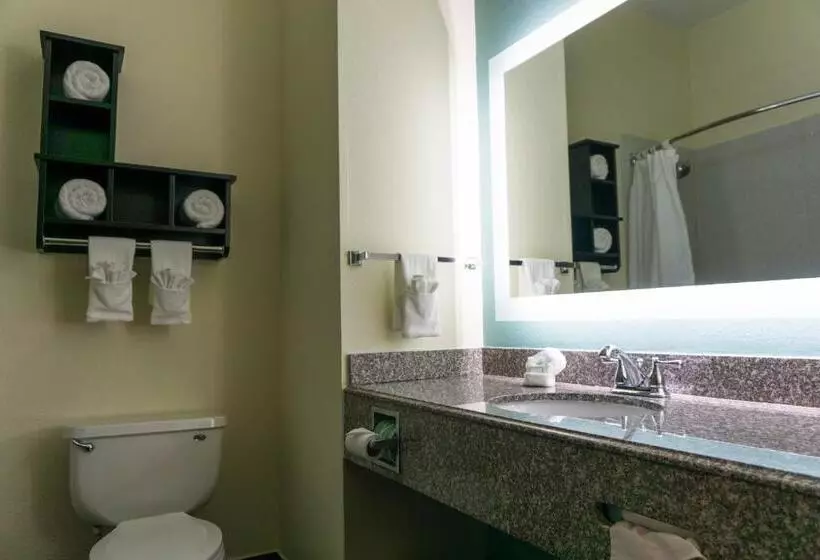 キングサイズベッドのスイートルーム, Best Western Mayport Inn & Suites