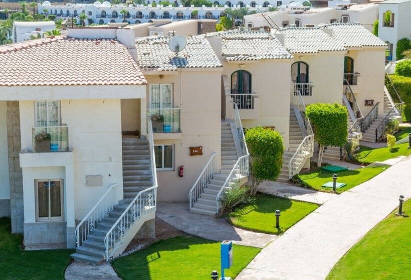 سوییت جونیور, Island View Resort
