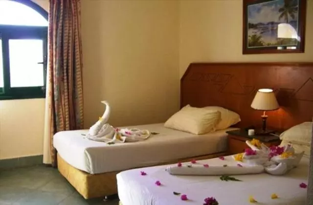 اتاق استاندارد, Island View Resort