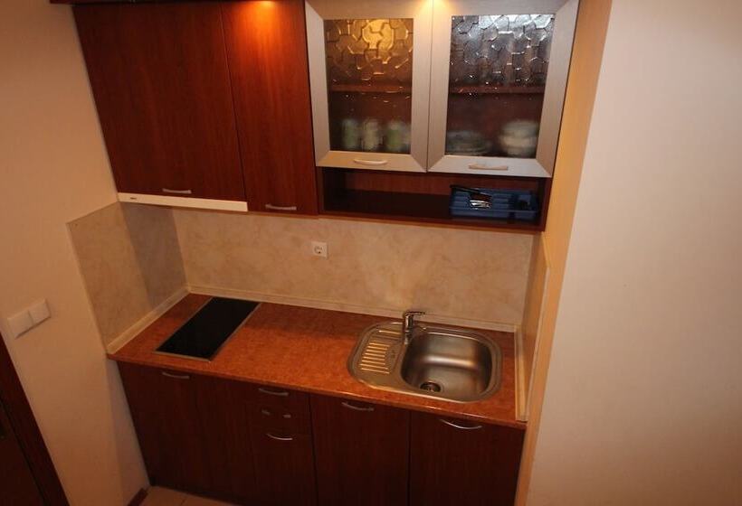 带海景的标准工作室, Menada Apartments In Sunny Beach