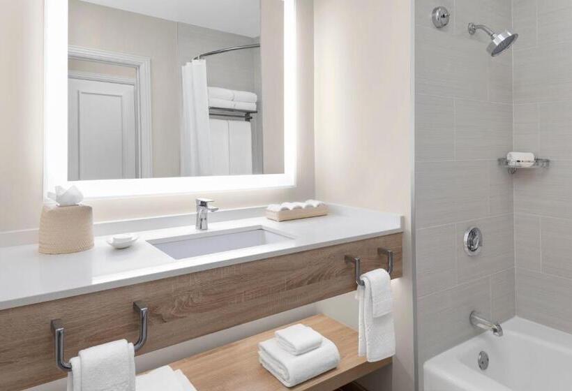 اتاق استاندارد با چشم‌انداز, The Royal At Atlantis