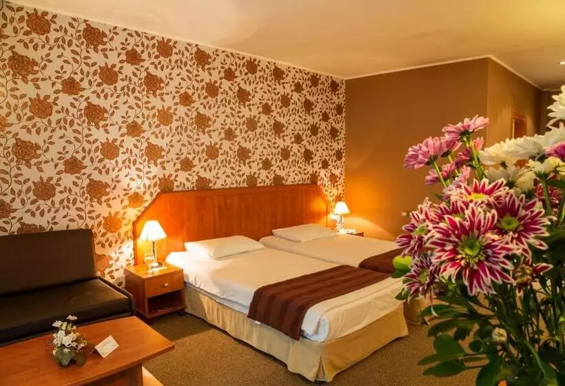 バルコニー付きスタンダードルーム, Spa Hotel Olymp
