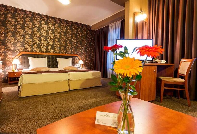 スーペリアージュニアスイート, Spa Hotel Olymp