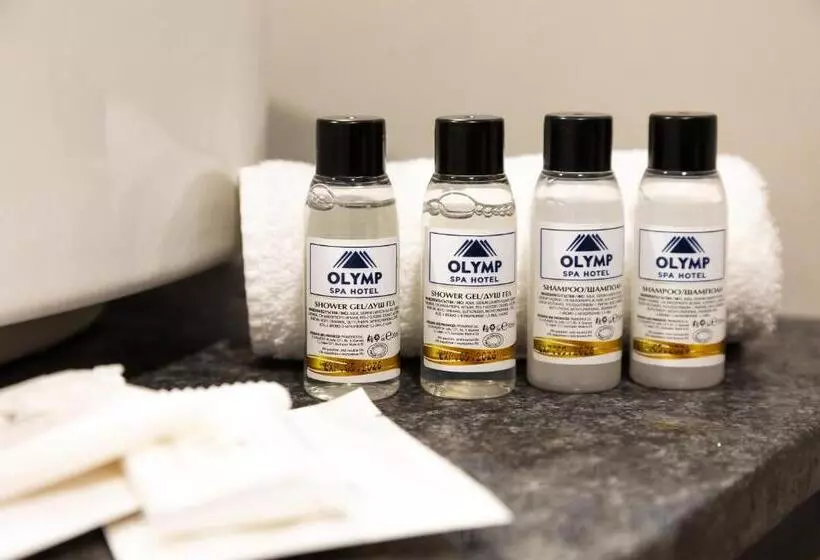 ドゥプレックスルーム, Spa Hotel Olymp