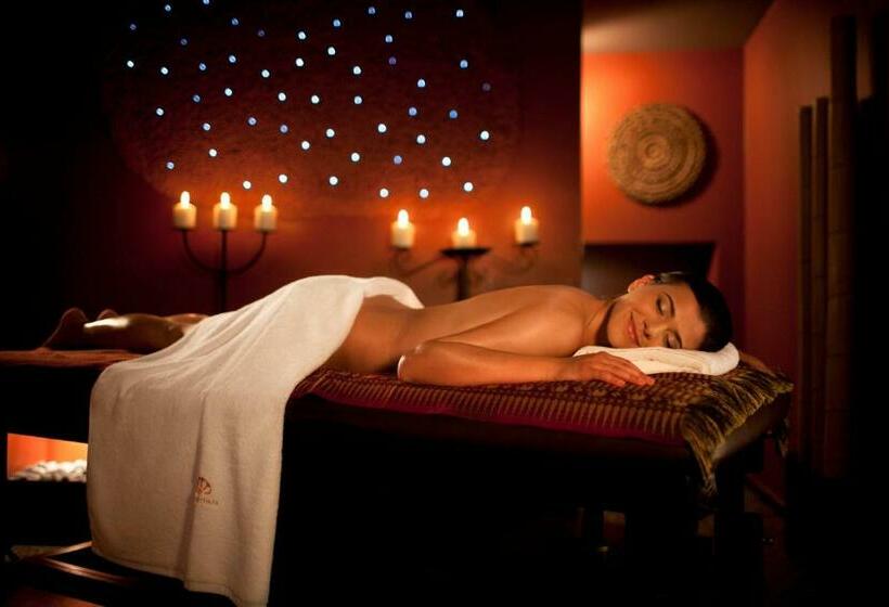 اتاق سوپریور, Terme Olimia   Hotel Sotelia