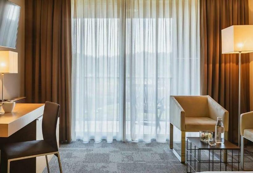 اتاق استاندارد با چشم‌انداز استخر, Terme Olimia   Hotel Sotelia