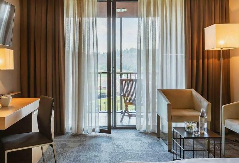 اتاق استاندارد با چشم‌انداز استخر, Terme Olimia   Hotel Sotelia