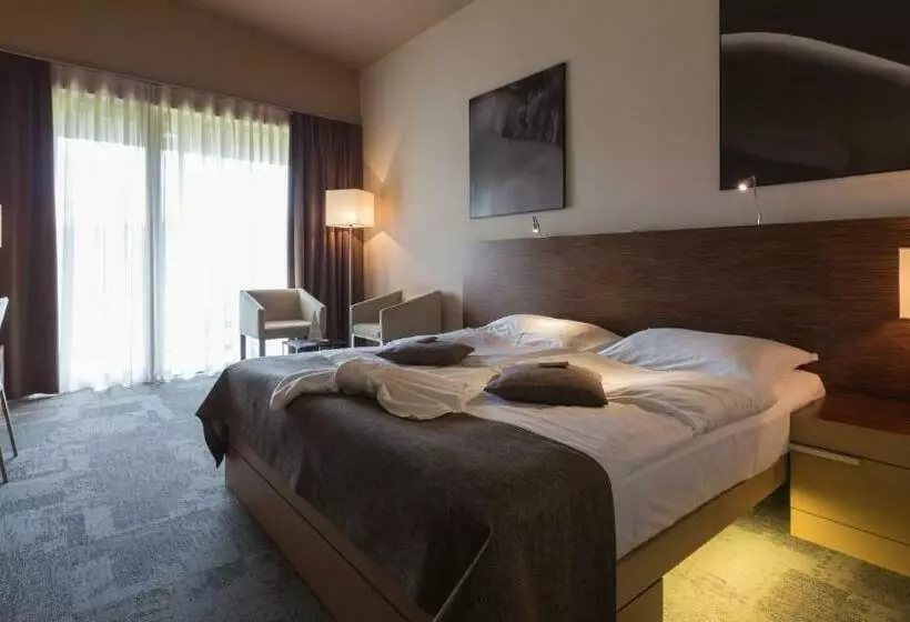 Standard-huone Allasnäkymä, Terme Olimia Hotel Sotelia