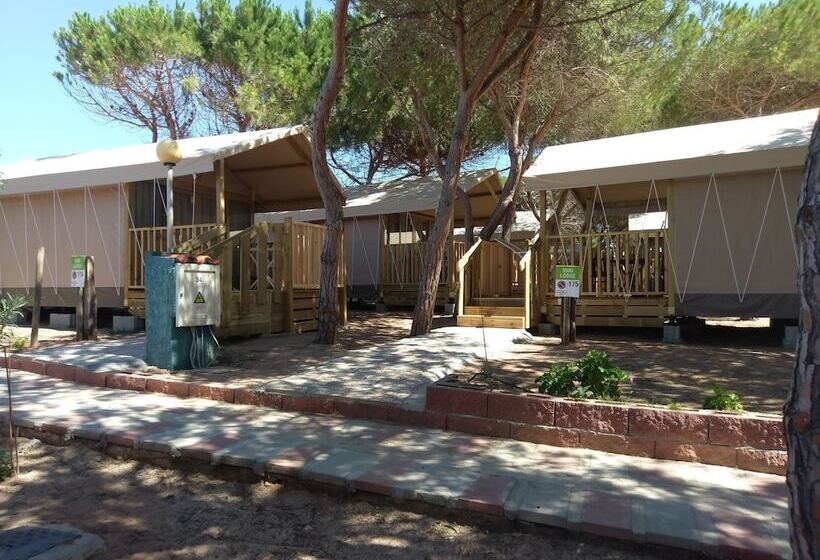 Basic Tent, Villaggio Camping Torre Del Porticciolo