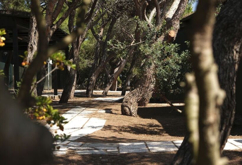 1ベッドルームハウス, Villaggio Camping Torre Del Porticciolo