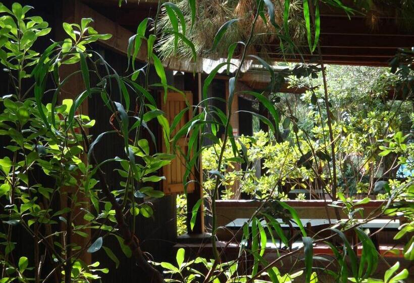 スタンダードバンガロー, Villaggio Camping Torre Del Porticciolo