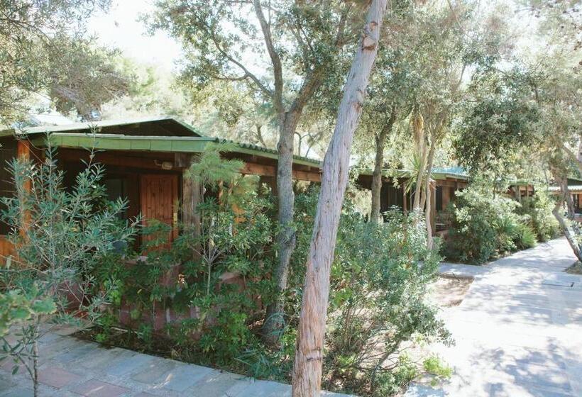 スタンダードバンガロー, Villaggio Camping Torre Del Porticciolo