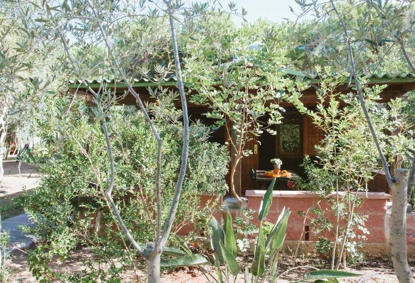 スタンダードバンガロー, Villaggio Camping Torre Del Porticciolo