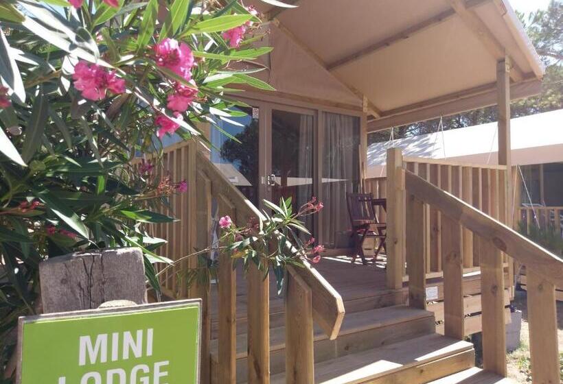 Basic Tent, Villaggio Camping Torre Del Porticciolo