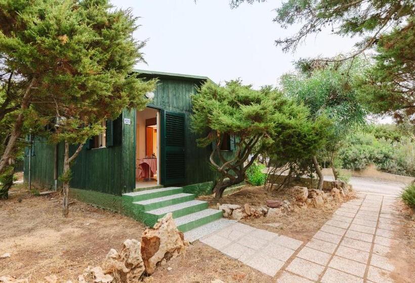 スタンダードルーム, Villaggio Camping Torre Del Porticciolo